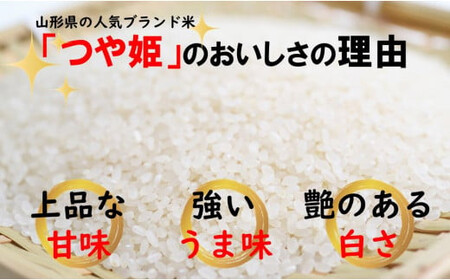 人気のブランド米　つや姫　白米　10kg（飯豊町産）(R7年産）【価格改定】