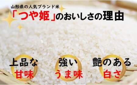 マイスターがつくる つや姫 白米 10kg(飯豊町産)(R7年産)【価格改定】