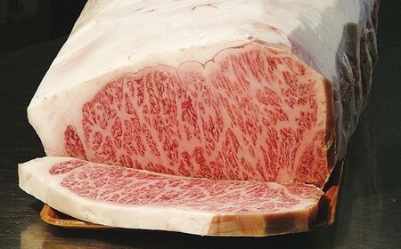 【田中屋】 米沢牛 人気のブランド和牛 切り落とし 500g（冷凍便） - ブランド牛 牛肉 肉 国産 和牛 黒毛和牛 スライス 山形県 飯豊町