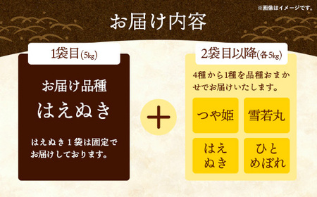 令和7年産 飯豊の幸 山形県ブランド米 銘柄お任せセット 『はえぬき』『雪若丸』『つや姫』『ひとめぼれ』精米 10kg （5kg×2袋）