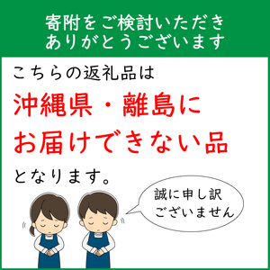 【R8.5月初旬より順次発送】成澤さんのカーネーション オレンジジェラート 5号鉢（入金期限：2026.4.30）母の日に プレゼント