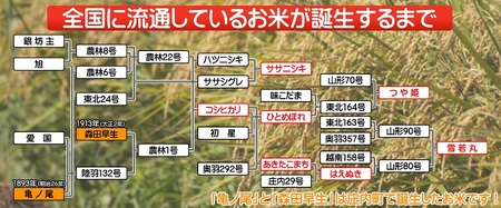 ＜1月中旬発送＞庄内米6か月定期便！はえぬき5kg（入金期限：2024.12.31）