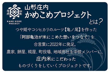 山形庄内かめこめプロジェクト 冷凍つや姫だんご 3本（個包装）