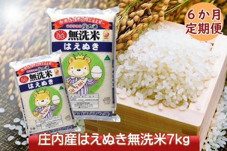 【<8月開始>庄内米6か月定期便!はえぬき無洗米7kg(入金期限:2020.7.25)