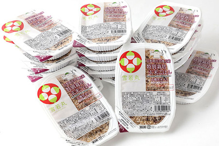 ＜2月中旬発送＞6か月定期便！雪若丸 玄米パックごはん 160g×24個（入金期限：2026.1.25）