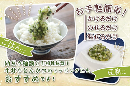 マルハチ 山形のだし 110g×6パック 漬物 夏野菜 シャキシャキ食感 お手軽 簡単 ご飯のお供 おかず 山形名物 郷土料理 家庭料理 ご当地