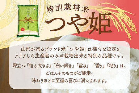 庄内町産 つや姫 15kg 5kg×3袋 令和7年産 2025年産 ブランド米 コシヒカリの原点、亀の尾発祥の地 庄内