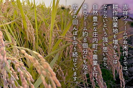 吉祥ファーム ササニシキ 5kg 令和7年産 2025年産 ブランド米 コシヒカリの原点、亀の尾発祥の地 庄内