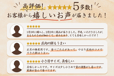 【12月発送】梅木もち屋 庄内産『でわのもち』を使用した杵つき餅 380g×1袋(入金期限:2025.12.21) 個包装 丸もち【25-5009B】