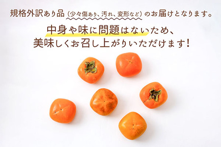 【R8.10月下旬より順次発送】庄内柿 家庭用【訳あり 少々傷あり】 M～Lサイズ 7.5kg（入金期限：2026.10.10）