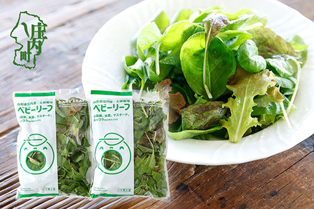庄内産 ベビーリーフミックス 70g×2袋 土耕栽培 サラダ スムージー 若葉 野菜 生野菜 新鮮 山形県 冷蔵