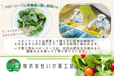 庄内産 ベビーリーフミックス 70g×2袋 土耕栽培 サラダ スムージー 若葉 野菜 生野菜 新鮮 山形県 冷蔵