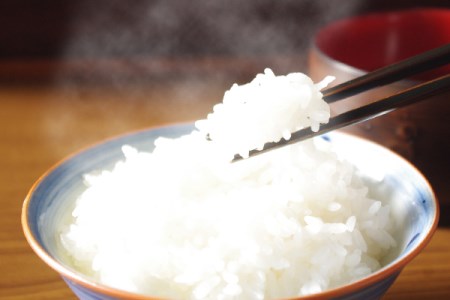 庄内平野、風と暮らす　庄内米食べ比べセット（5kg×4種）