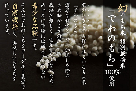 梅木もち屋 庄内産『でわのもち』を使用した杵つき餅 380g×3袋 柔らかくよく伸びる 丸もち お雑煮 正月 丸餅 おもち 個包装 6000円 6千円