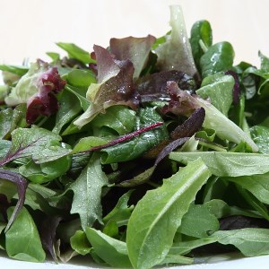 土耕栽培のベビーリーフミックス 10種(70g×4袋) と野菜用ハーブ塩セット