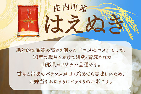 庄内町産 はえぬき 20kg 5kg×4袋 令和7年産 2025年産 ブランド米 コシヒカリの原点、亀の尾発祥の地 庄内