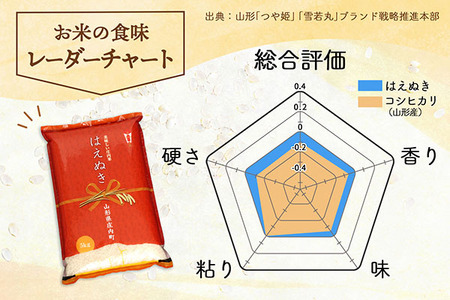庄内町産 はえぬき 20kg 5kg×4袋 令和7年産 2025年産 ブランド米 コシヒカリの原点、亀の尾発祥の地 庄内