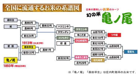 つや姫無洗米  5kg