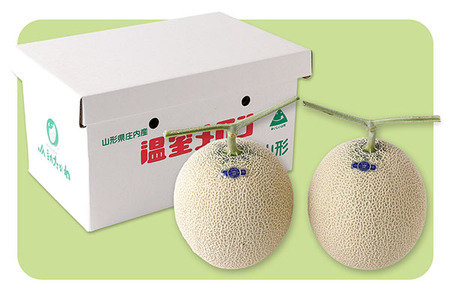 【R8.8月より順次発送】アールスメロン 大玉2玉(入金期限:2026.7.20)