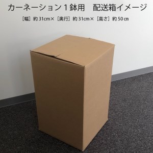 【R8.5月初旬より順次発送】成澤さんのカーネーション 赤 5号鉢(入金期限:2026.4.30)母の日に プレゼント