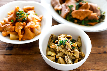 庄内豚ホルモンセット（レギュラー）