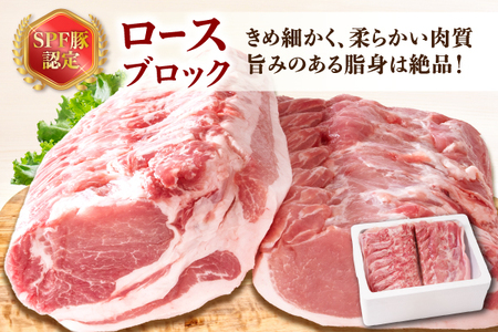 山形県庄内SPF豚 最上川ポークロースブロック 4kg（2kg×2）国産 豚肉 冷蔵便