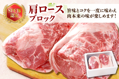 山形県庄内SPF豚 最上川ポーク肩ロースブロック 4kg(2kg×2) 国産 豚肉 冷蔵便