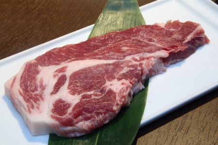 まるごと庄内満喫ディナー 焼肉もりもり2名様分お食事券 山形県庄内町 ふるさと納税サイト ふるなび