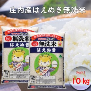 はえぬき　無洗米10キロ