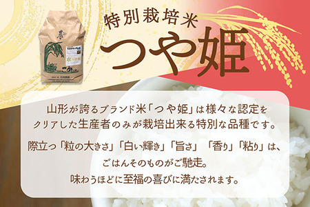 石垣農園の特別栽培米 つや姫 10kg 令和7年産 2025年産 ブランド米 山形県コシヒカリの原点、亀の尾発祥の地 庄内【028-026I】