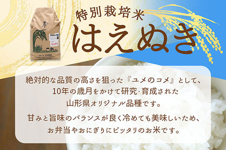 石垣農園の特別栽培米 はえぬき 10kg 令和7年産 2025年産 ブランド米 山形県コシヒカリの原点、亀の尾発祥の地 庄内【029-024I】