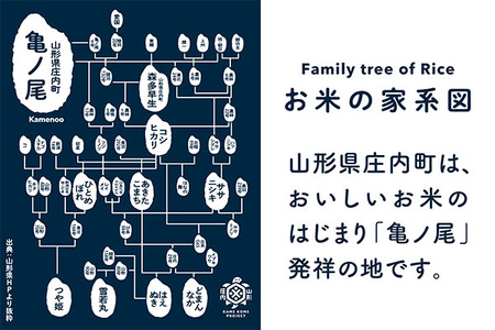石垣農園の特別栽培米 はえぬき 10kg 令和7年産 2025年産 ブランド米 山形県コシヒカリの原点、亀の尾発祥の地 庄内【029-024I】