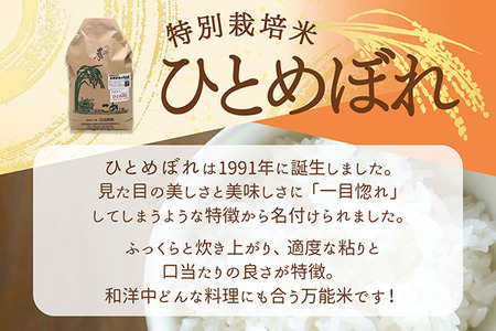 石垣農園の特別栽培米 ひとめぼれ 10kg 令和7年産 2025年産 ブランド米 山形県コシヒカリの原点、亀の尾発祥の地 庄内【030-024I】