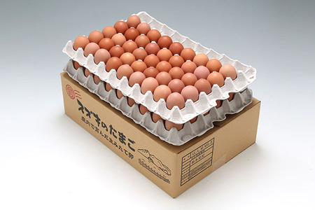 スズキのたまご 地養卵 MS～L 80～90個 約5kg 新鮮 卵 たまご 鶏卵 生卵 地養卵 赤たまご