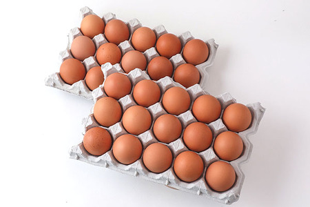 <2月中旬発送>スズキのたまご 6か月定期便! 地養卵30個(入金期限:2026.1.25)