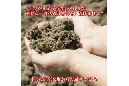 415 トマトジュース「秋のめぐ実」6本