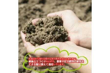 416 トマトジュース「鳥海山トマト」6本