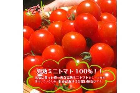 417 トマトジュース「鳥海山トマト」12本