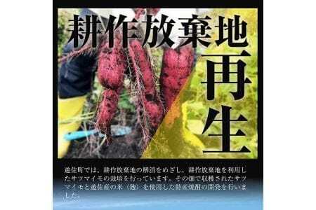 1012 本格焼酎 耕作くん 720ml×1本