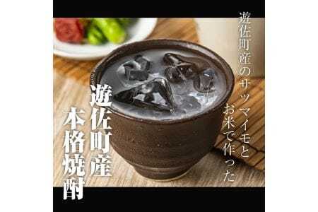 1013 本格焼酎 耕作くん 720ml×2本