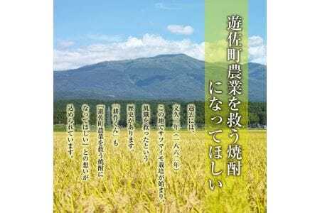 1013 本格焼酎 耕作くん 720ml×2本