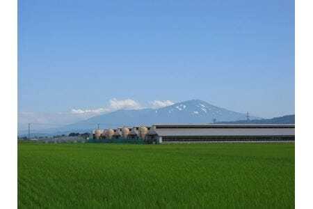 340 日本の米育ち金華豚三元豚合い盛りしゃぶしゃぶギフト