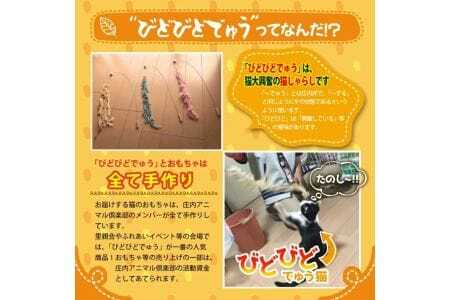 846 森の猫砂とおもちゃセット