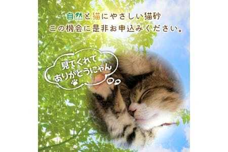 941 森の猫砂 庄内の天然木材100% 5L×4袋 合計20L