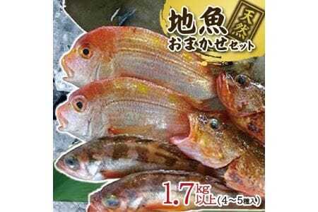 511　地魚おまかせセット　4～5種類入り計1.7kg以上