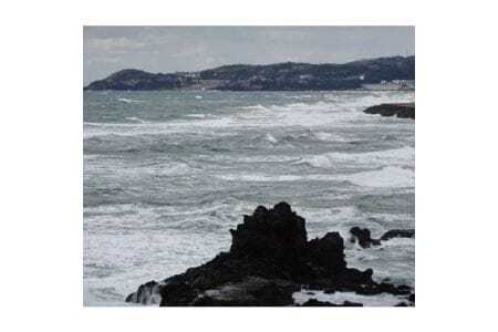 626　遊佐町吹浦産　天然岩のり　のり1枚