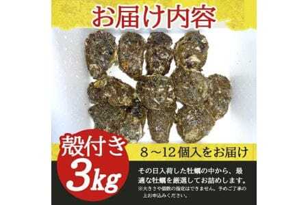 1039　遊佐町吹浦の天然岩牡蠣3kg（8～12個入）