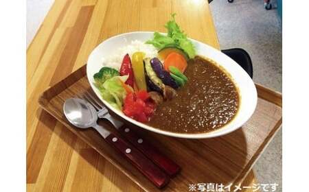 1289　遊佐カレーレトルト2種4箱セット