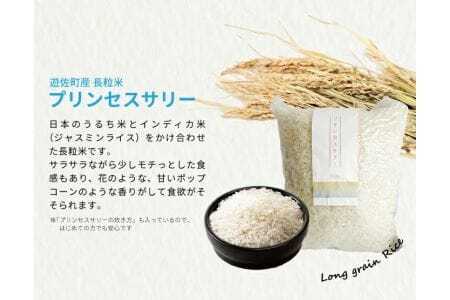 951 遊佐のみのり(プリンセスサリー3合 リュテニッツア100g×2個 パプリカソルト レッドとイエロー各5g)