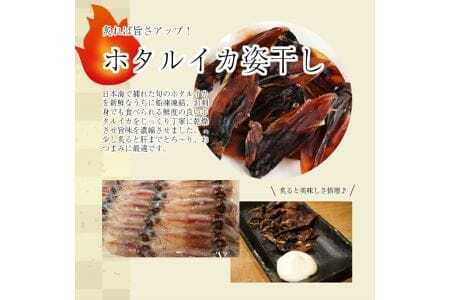 843 素材の味をまるごと堪能「ホタルイカ姿干し」10g×12パックセット